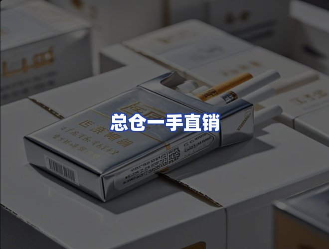 专业团队